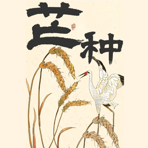 芒种