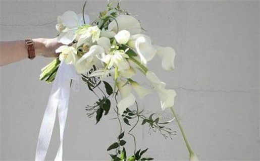 2026年农历九月初九结婚好吗 今日办婚礼好吗