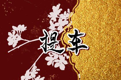2026年12月15日提车好吗 今日提车买车好吗