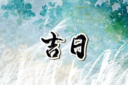 2027年04月12日提车好吗 今日提车买车好不好