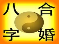 合婚看属相还是看八字？两者区别一次讲清