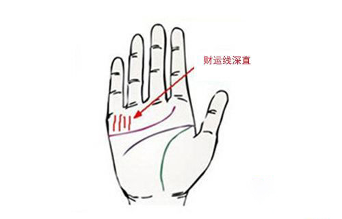 5种掌纹男生最富有