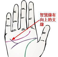 女人什么手相最招财，女人什么手相财运好？