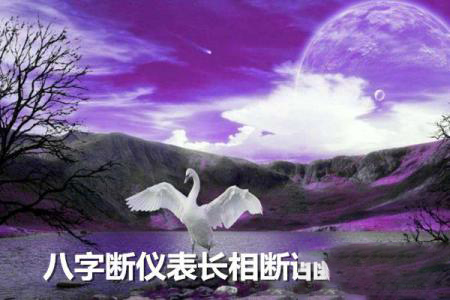 八字断仪表相貌断语