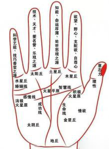 手相：看看聚财的手相、瞧瞧有福的耳朵带禄的嘴唇！