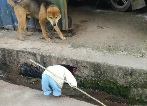 梦见拿棍子打狗