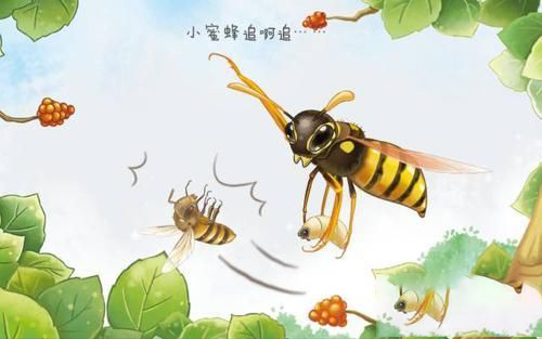 梦见蜜蜂追我