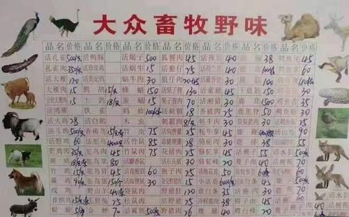 梦见吃狐狸肉
