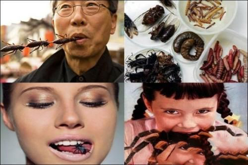 梦见吃虫子