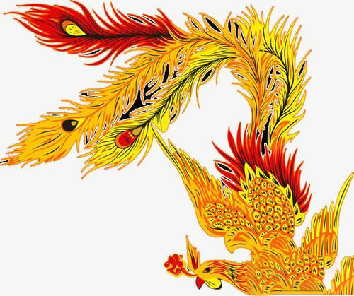 梦见天上有金色凤凰