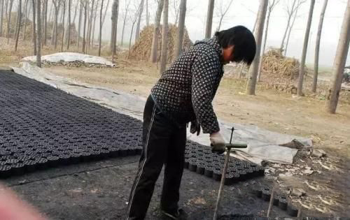 梦见做蜂窝煤