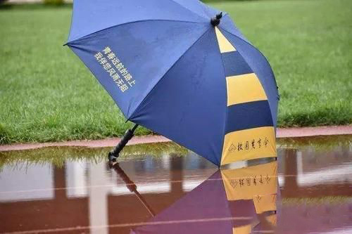 梦见雨伞丢了