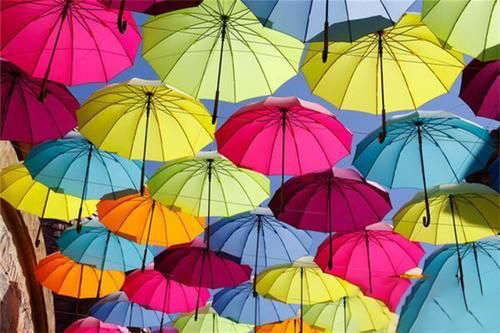 梦见公司发雨伞
