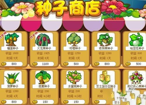 梦见买种子
