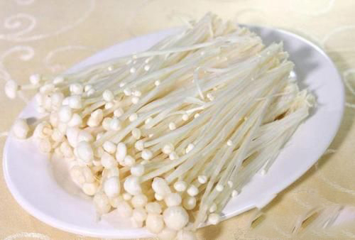 梦见种金针菇