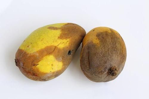 梦见烂水果