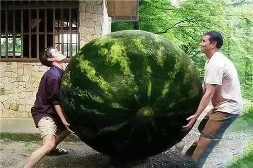 梦见好大的西瓜