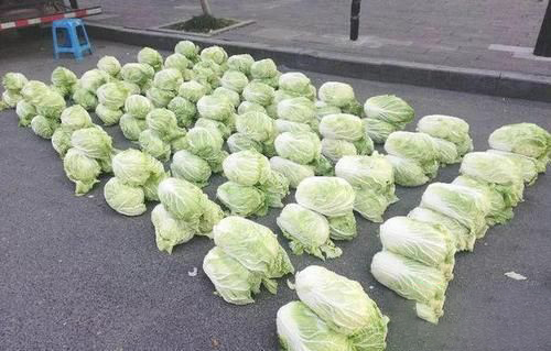 梦见一堆白菜