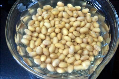 梦见黄豆变玉米
