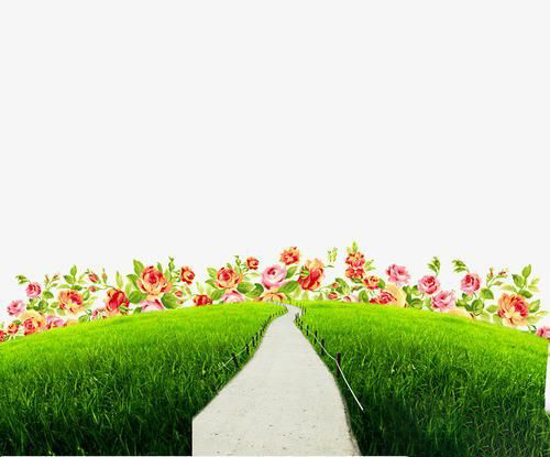 梦见草地鲜花