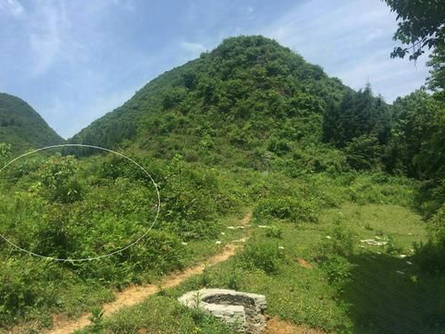 梦见风水老先生看风水