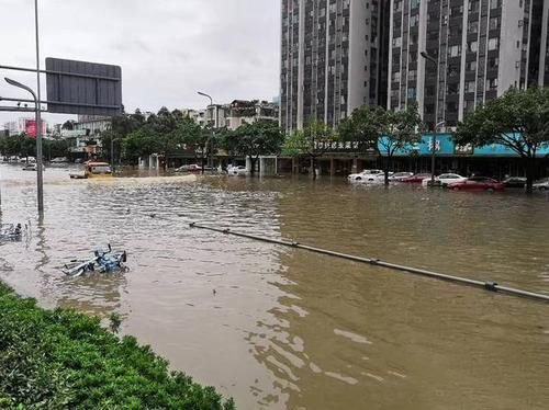 梦见下雨打架