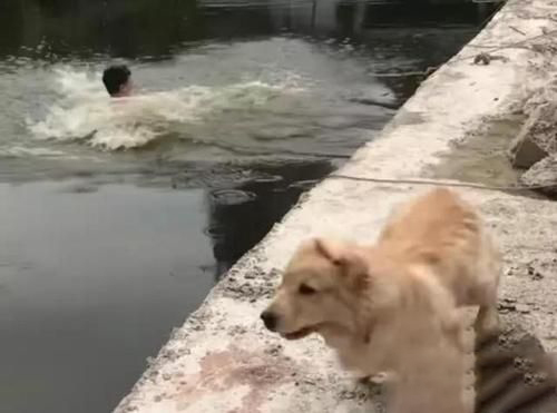 梦见别人掉水里又被救起