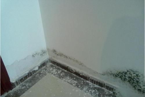 梦见房屋漏水