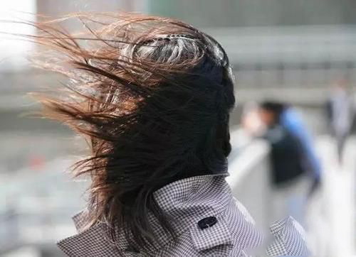 梦见被风吹走了
