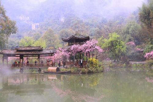 梦见光身子在水中上游