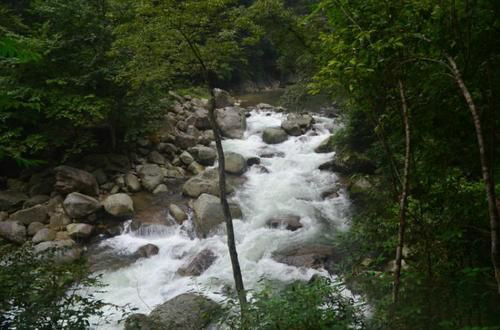 梦到水流连绵不断