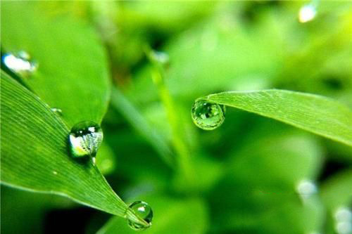 梦见卫生间有露水