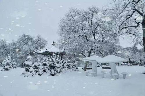 梦见鹅卯雪纷飞