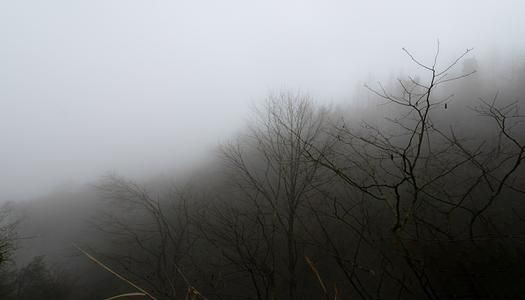 梦见大雾弥漫