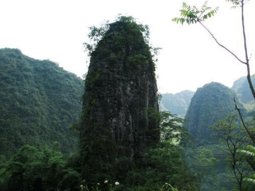 梦见山里