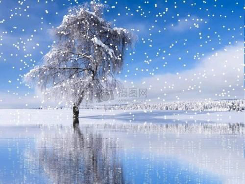 梦见飘雪花