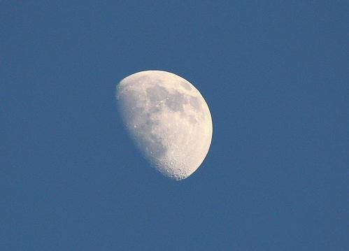 梦见大白天有月亮