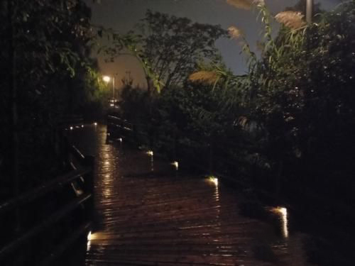 梦见夜里独自行走