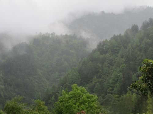 梦见碧绿碧绿大山