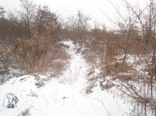 梦见大雪封山