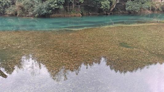 梦见清澈见底的河水
