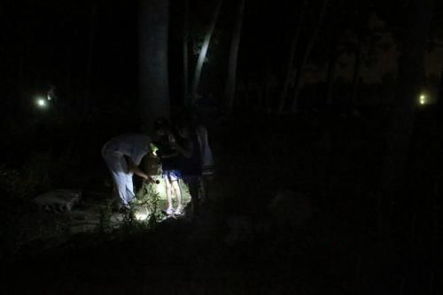梦见手电简忽闪忽闪