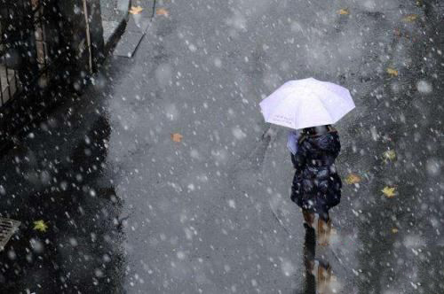 梦见雨夹雪