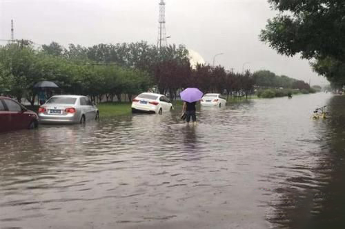 梦见突下暴雨