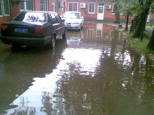 梦见下雨发大水
