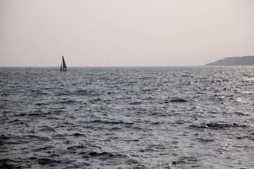 梦见杜青林大海