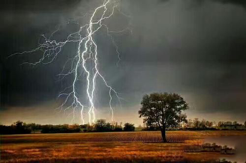梦见雷电交加大雨