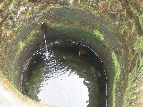 梦到水井没水