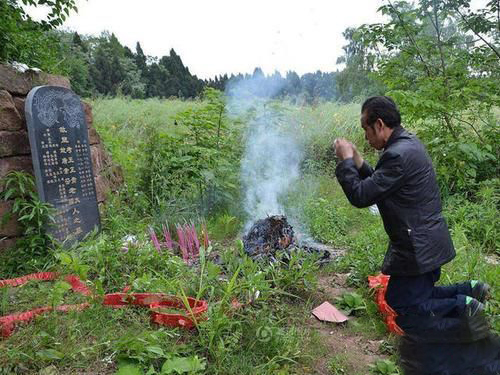 梦见用桑葚修坟