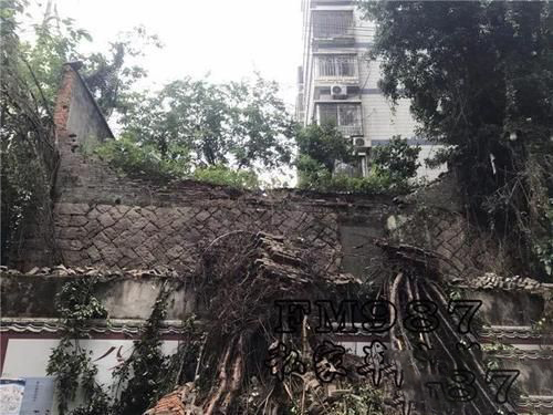 梦见院墙倒塌